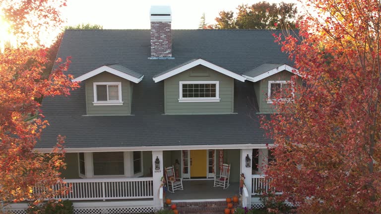 Best Sheet Metal Roofing  in Ormond Beach, FL