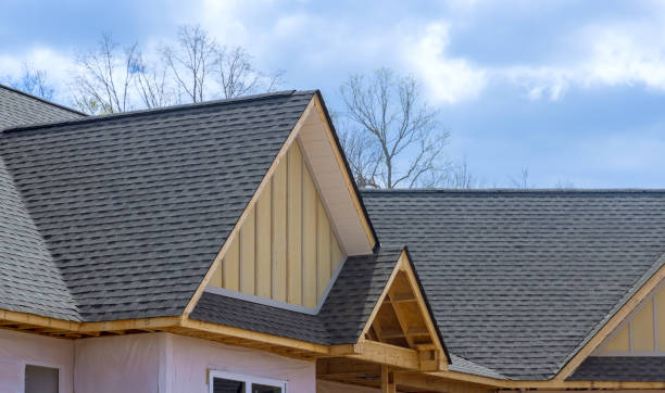 Best Roof Leak Repair  in Ormond Beach, FL